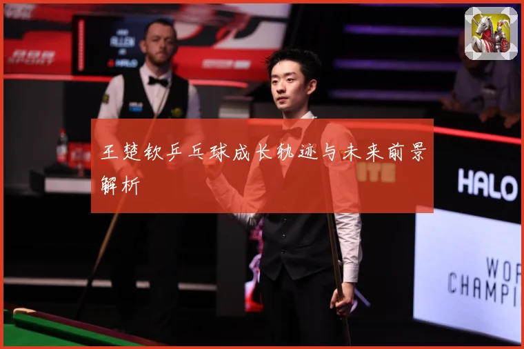 王楚钦乒乓球成长轨迹与未来前景解析