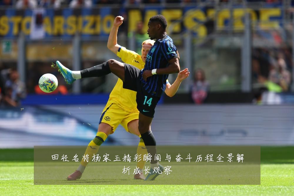 田径名将杨家玉精彩瞬间与奋斗历程全景解析成长观察